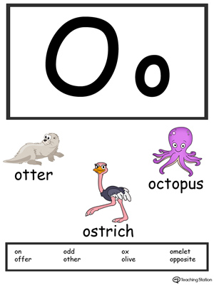 Free Letter O Alphabet Flash Cards For Preschoolers Myteachingstation Com