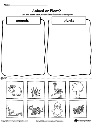 Preschool Plants and Animals Printable Worksheets | MyTeachingStation.com