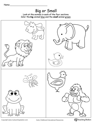 Big and small concept - KIDS Activities and Worksheets