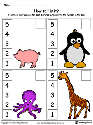 Measurement - Taller & Shorter  Math activities preschool, Kids