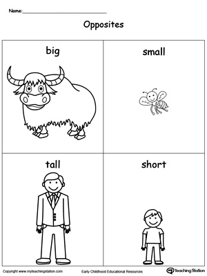 Big,Small, Long, Short worksheet