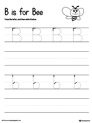 Trace And Write The Letter B Worksheet