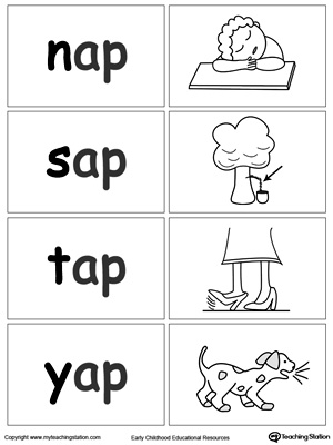 Word Sort Game: AP Words | MyTeachingStation.com