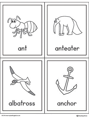 Beginning sound vocabulary cards for letter A, includes the words ant, anteater, albatross, and anchor.