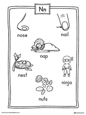 Letter N Word List with Illustrations Printable Poster ...