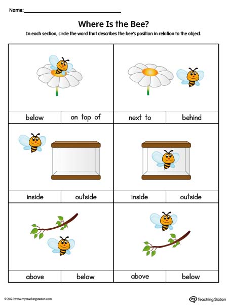 Positional Words Worksheet: In Front Of, Behind, Inside, Next To, On Top  Of, Under (Color)