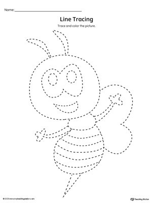 free bee prewriting line tracing worksheet myteachingstation com