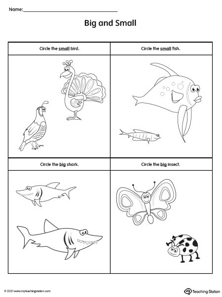 Big and Small Matching Worksheet - Black and White