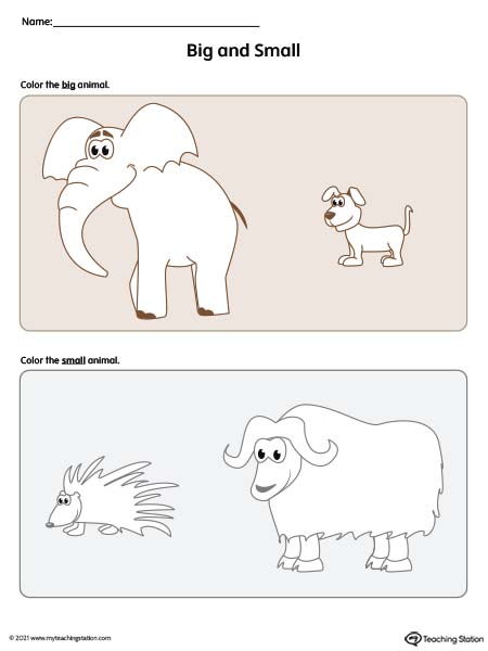 Big and Small Worksheet: Animals
